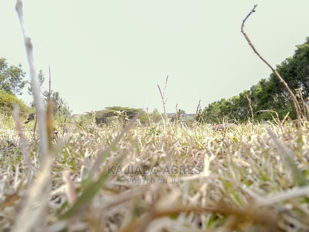 1/4 Acre Kandisi at 4.5m