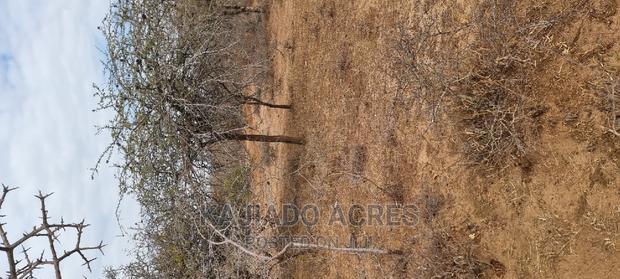 Prime 48 Acres Konza at 2.5m Per Acre