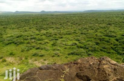 50acres Farmland Ngoiyan