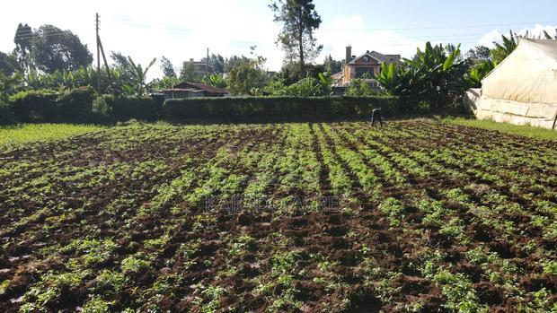 Emergency Sale 1/4 Acre Ondiri ,
