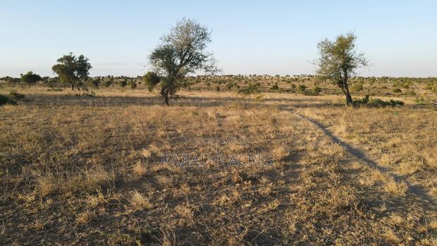 Prime Fenced 38 Acres Sajiloni at 1.5m Per Acre