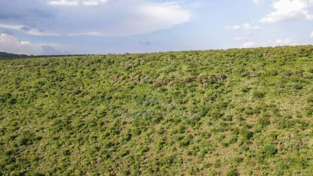 107 Acres Olmeroi ,Saikeri