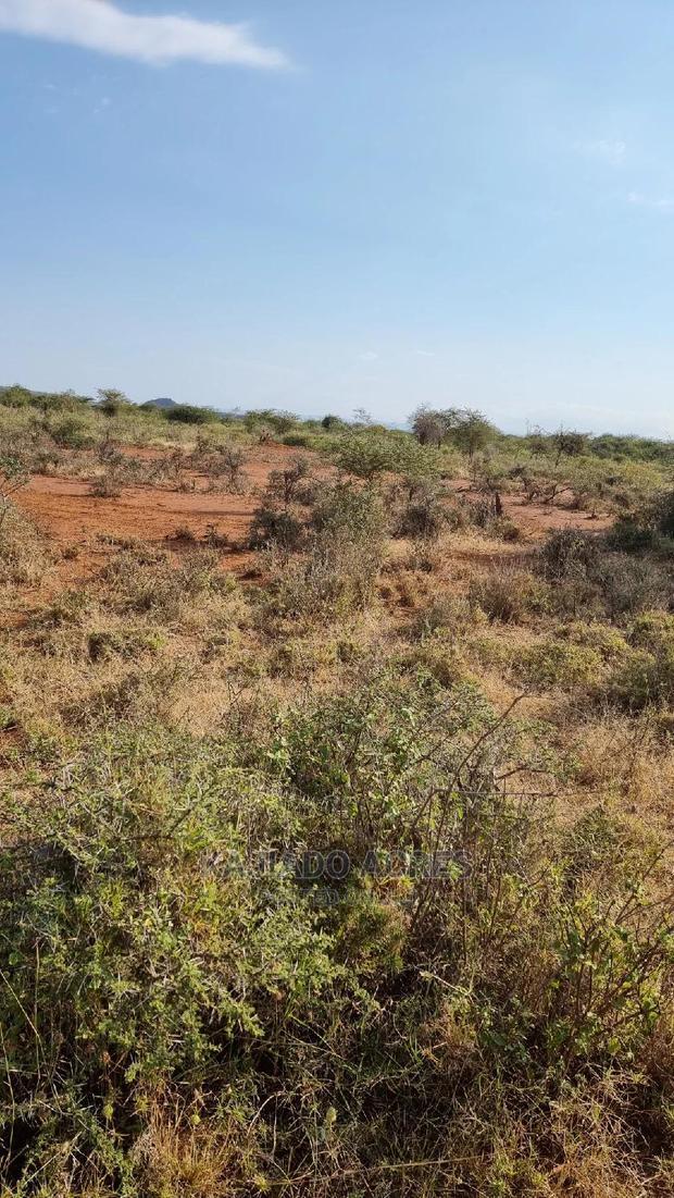 8 Acres Nkorika