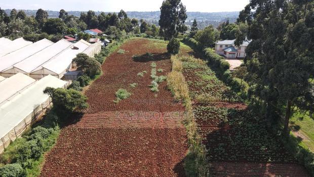 Prime 1/4 Acre Ondiri,Kikuyu at 8m