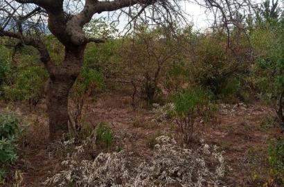 3 Acres Oloishobor at 1.8m Per Acre