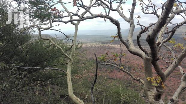 Scenic 31 Acres Lentoko at 450k Per Acre