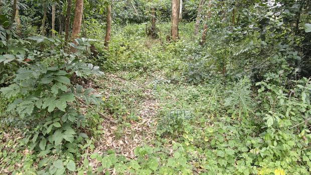 Prime 1/4 Acre Muthaiga,Ngong at 10m