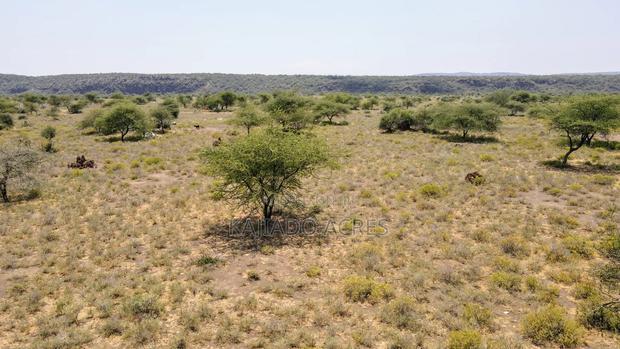 Prime 5 Acres Tinga at Per Acre