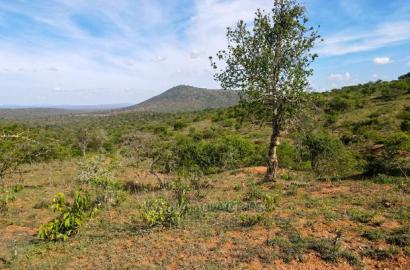 10 Acres Nkorika at 600k Per Acre