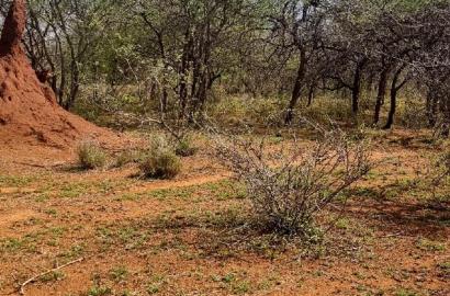 42 Acres Iselengei(Oloitoktok South) at 350k Per Acre