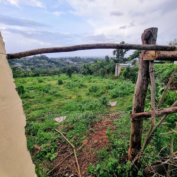 2 Acre Lemiso Road at 20m Per Acre
