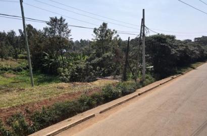 1/4 Acre Rhino Park Road at 40m