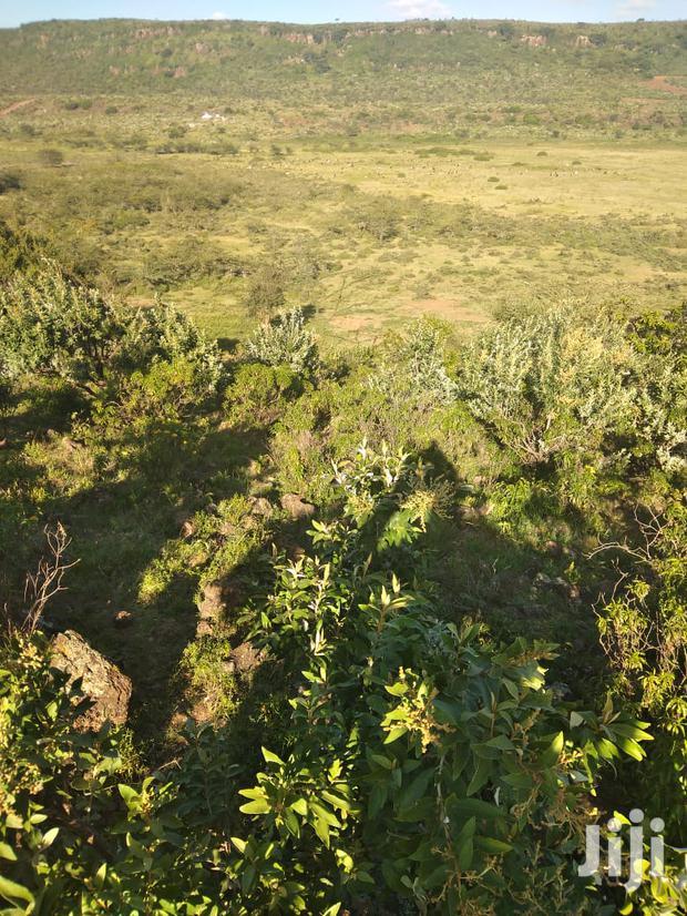 100 Acres Ilkisumeti(Near Eremit)