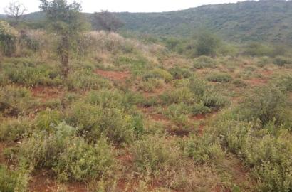 10 Acres Serachi Road at 190k Per Acre