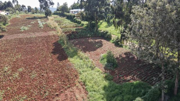 Prime 1/4 Acre Ondiri,Kikuyu at 8m