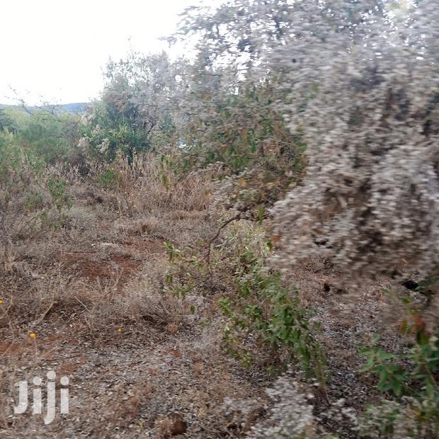 25 Acres Serashi Per Acre