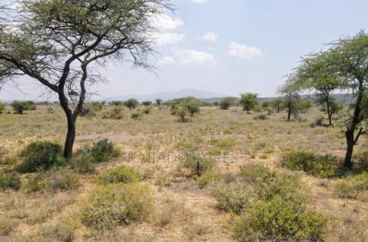 Prime 5 Acres Tinga at Per Acre