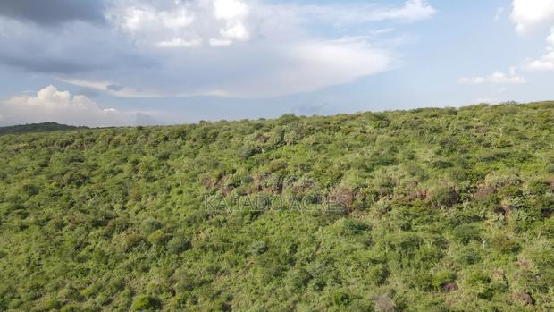 107 Acres Olmeroi ,Saikeri
