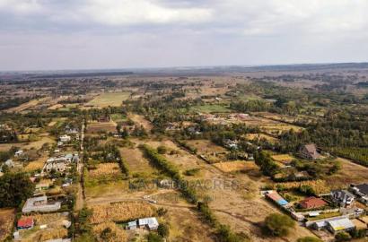 1/4 Acre Kandisi at 4.5m