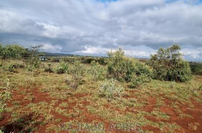 23 Acres Saikeri