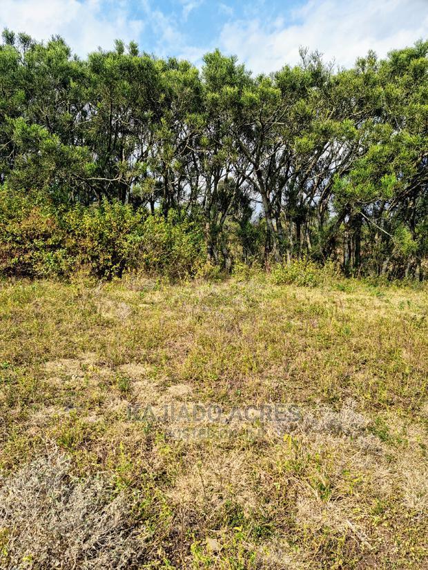 1/4 Acre Kandisi at 4.5m