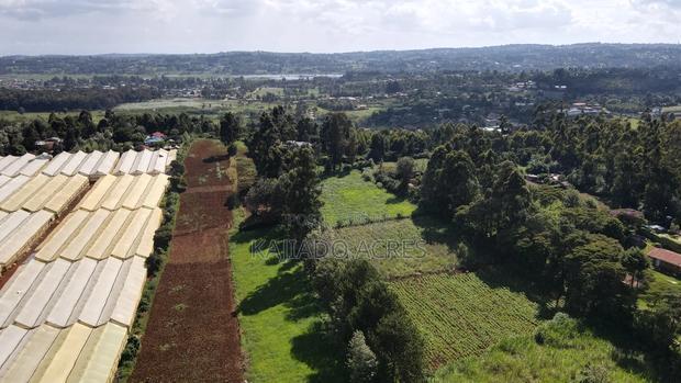 Prime 1/4 Acre Ondiri,Kikuyu at 8m