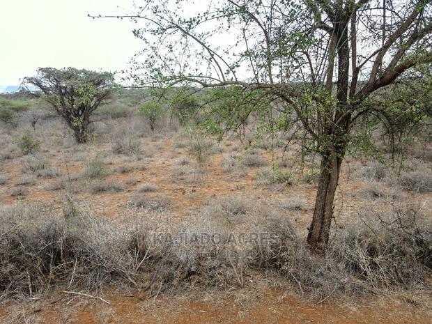 45 Acres Saikeri at 850k Per Acre