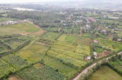 1/4 Acre Kibiku at 6m