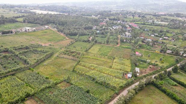 1/4 Acre Kibiku at 6m