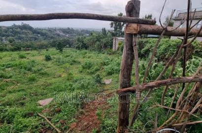2 Acre Lemiso Road at 20m Per Acre