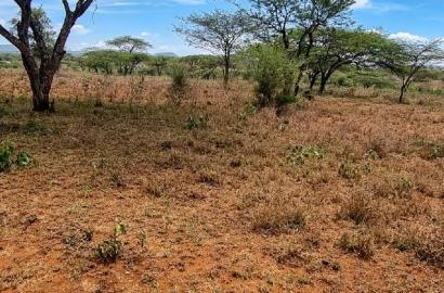 5 Acres Sajiloni at 1.2m Per Acre