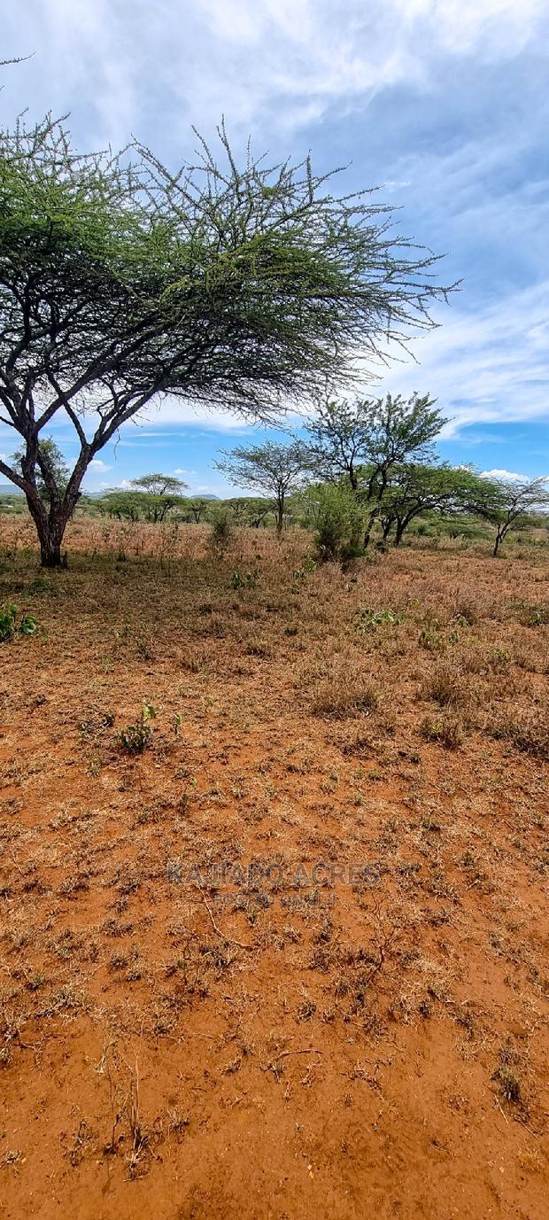 5 Acres Sajiloni at 1.2m Per Acre