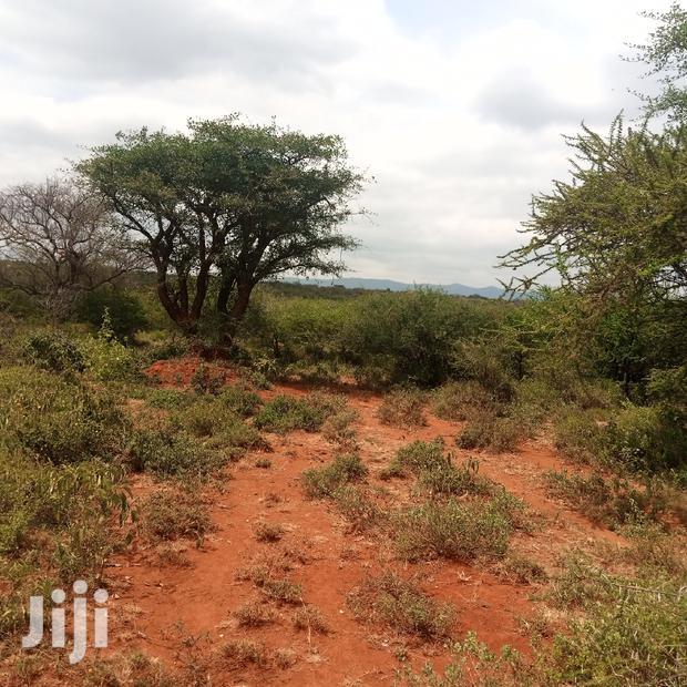 100 Acres Farming Land On Water Table