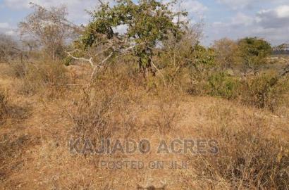 Prime 48 Acres Konza at 2.5m Per Acre
