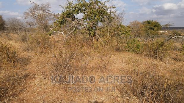 Prime 48 Acres Konza at 2.5m Per Acre