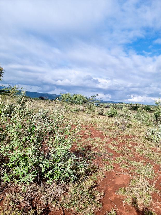 23 Acres Saikeri