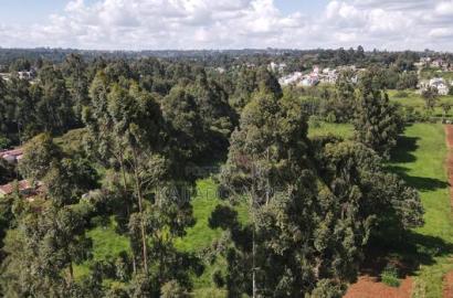 Prime 1/4 Acre Ondiri,Kikuyu at 8m