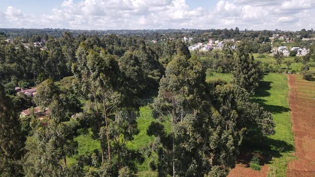 Prime 1/4 Acre Ondiri,Kikuyu at 8m