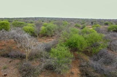 75 Acres and 70acres Maili Tisa at 350k Per Acre