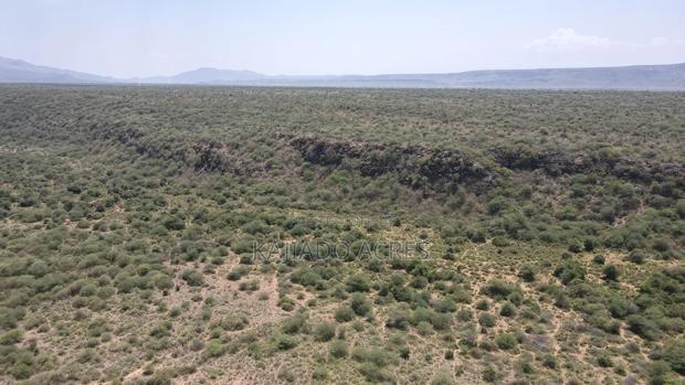 50 Acres on Cliff in Tinga at Per Acre