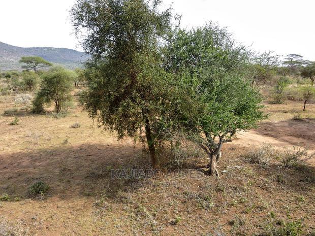 Quick Sale 140 Acres Maili Tisa