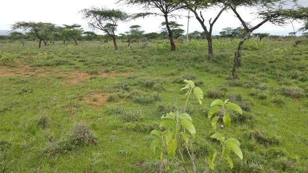 Prime 2 Acres Touching Ewuaso-Najile Road