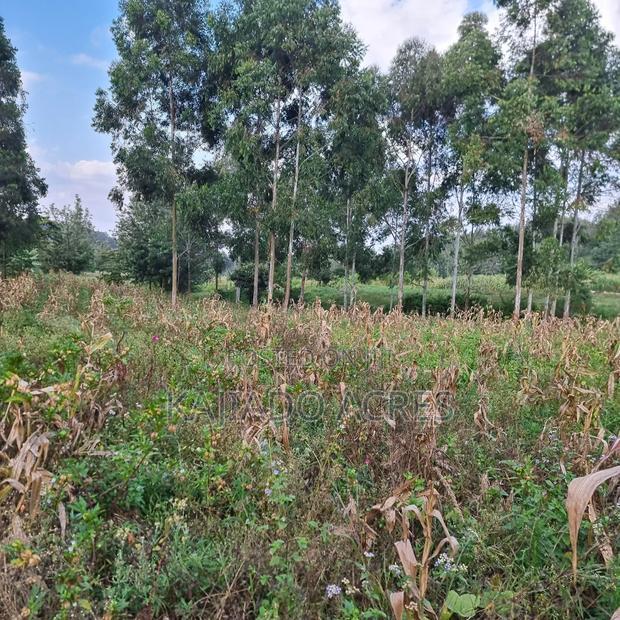 Prime 1/2 Acre Ngere Road, Ngong at 15m