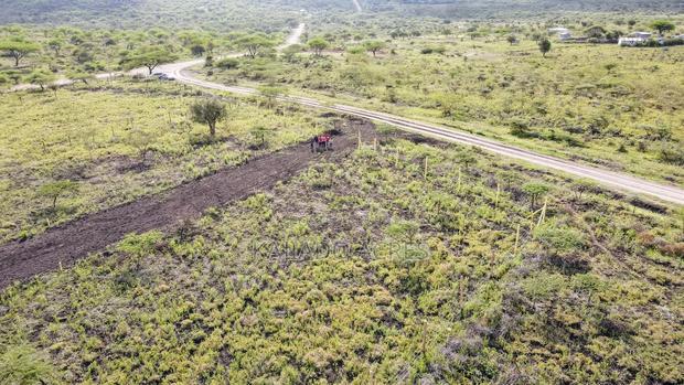1/8 Acre Kisamis at