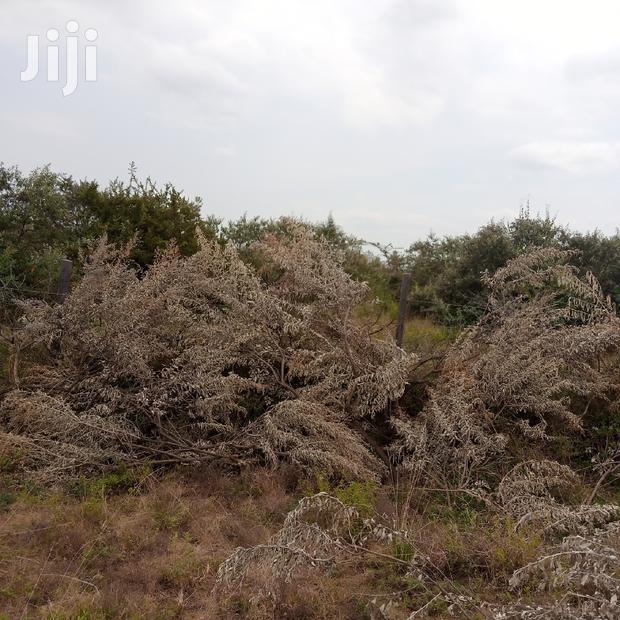 1 Acre Olkudate at 1.8m Per Acre