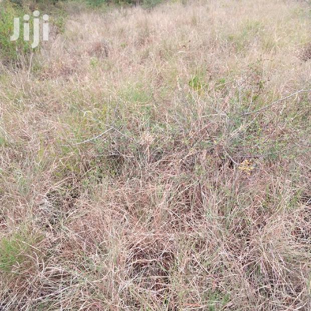 30 Acres Farming Land Lentoko