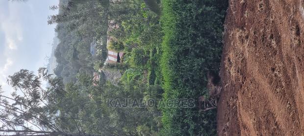 Prime 1/8 Acre Ololua at 4.4m