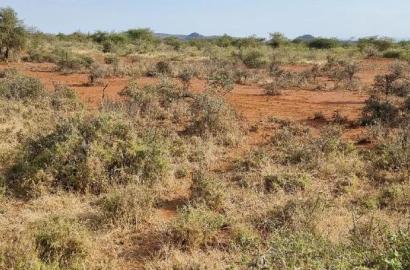 8 Acres Nkorika