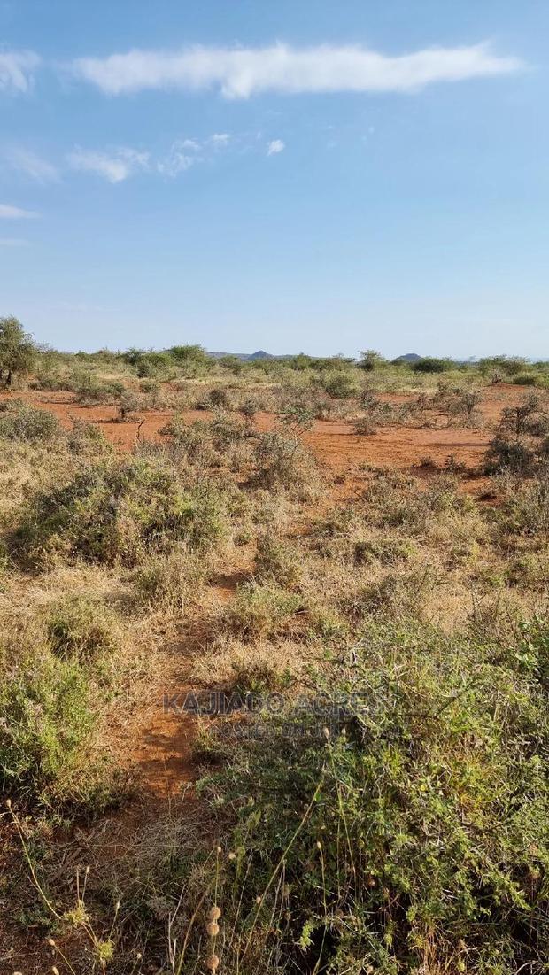 8 Acres Nkorika