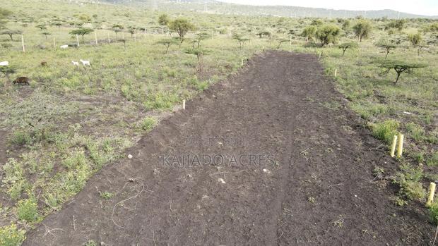 1/8 Acre Kisamis at